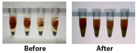 tissue-homogenization-before-after.jpg